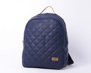 MC6501